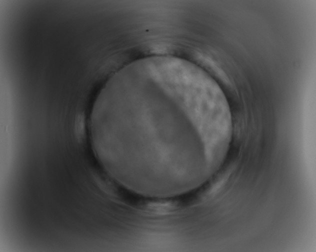 X0000092090213200710031200