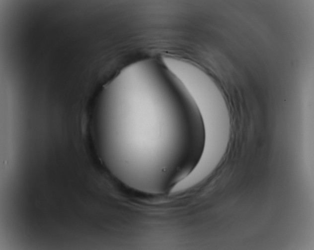 X0000092090219200710031200