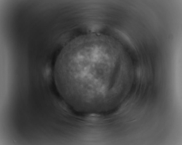 X0000092090222200710031200