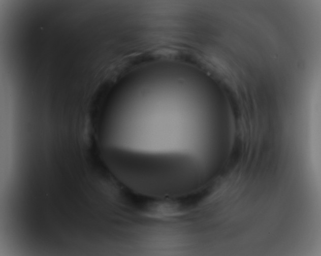 X0000092090223200710031200