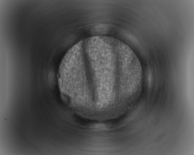 X0000092090224200710031200