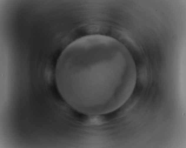 X0000092090226200710031200