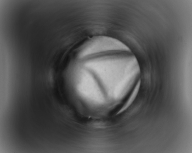 X0000092090228200710031200