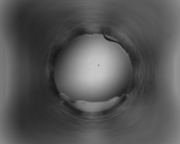 X0000092090229200710031200