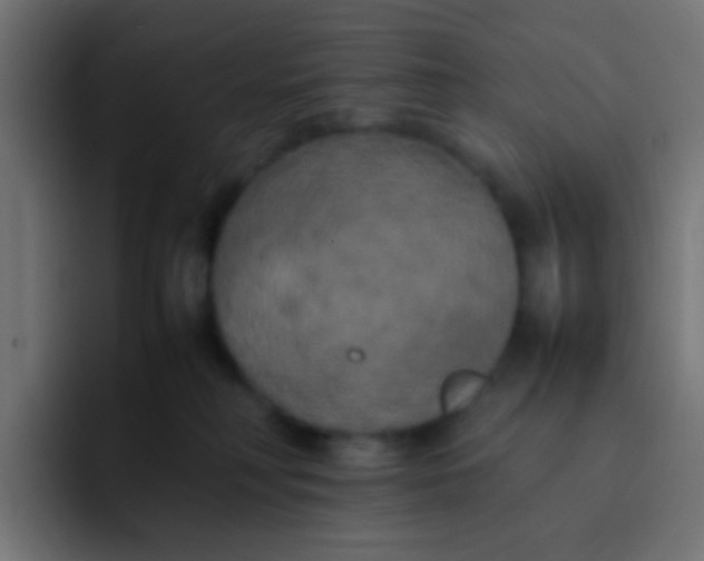 X0000092090230200710031200