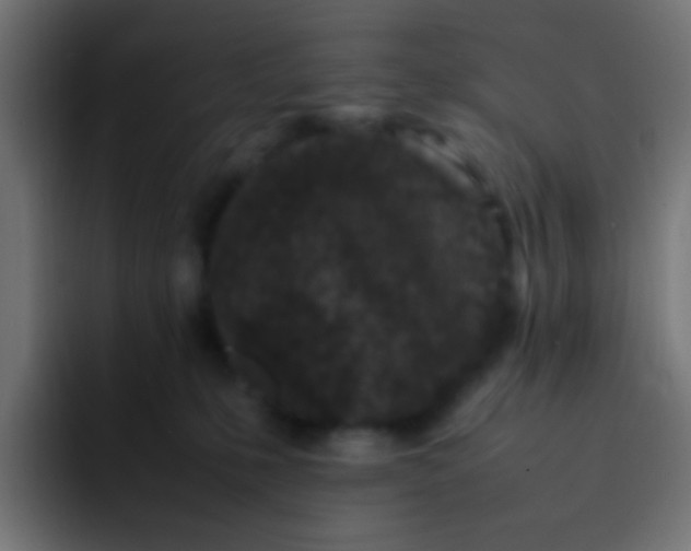 X0000092090231200710031200