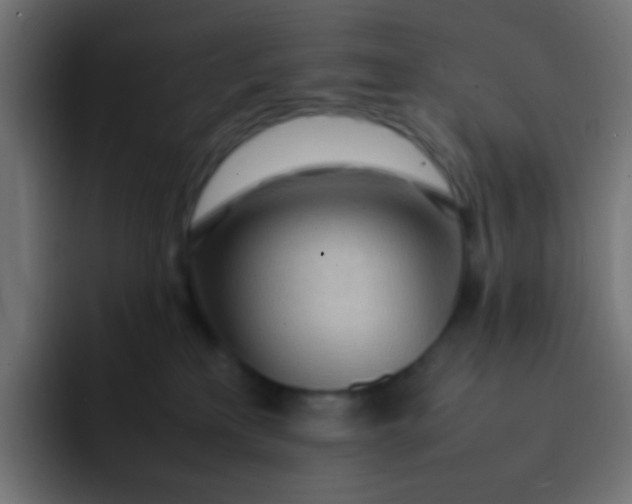 X0000092090233200710031200