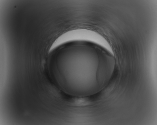 X0000092090235200710031200