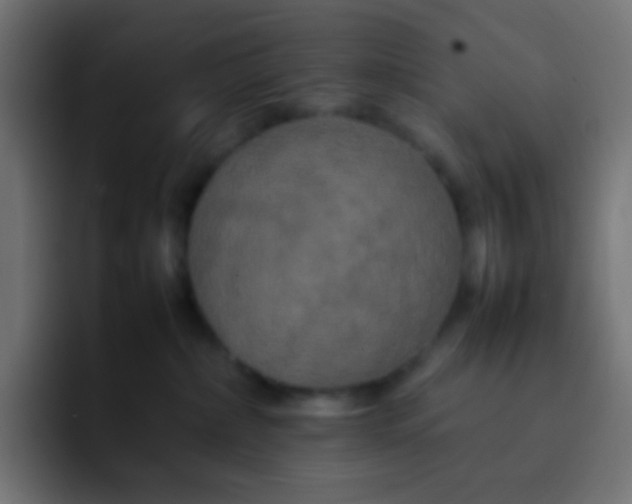 X0000092090236200710031200