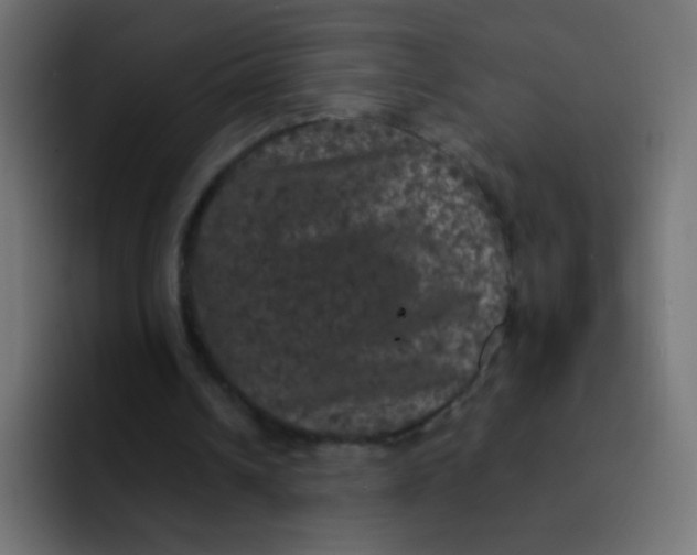 X0000092090242200710031159