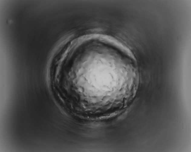 X0000092090245200710031159