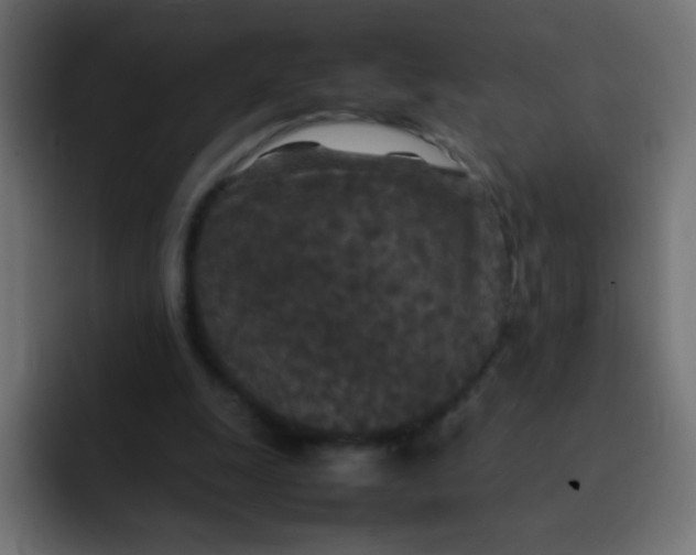 X0000092090247200710031159