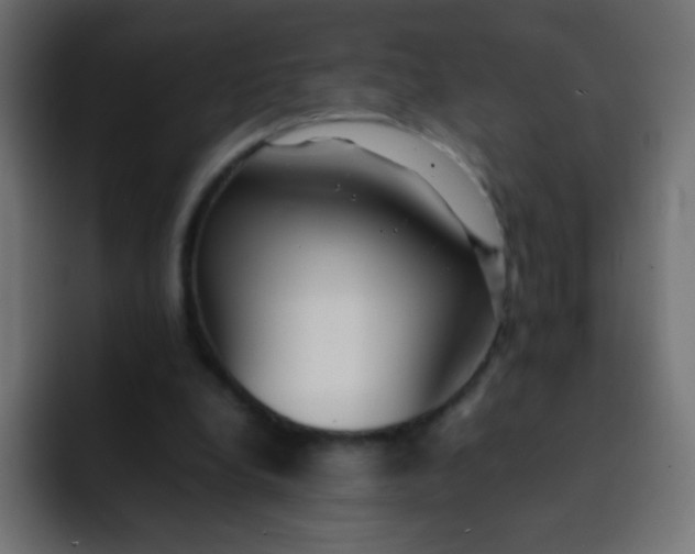 X0000092090248200710031159