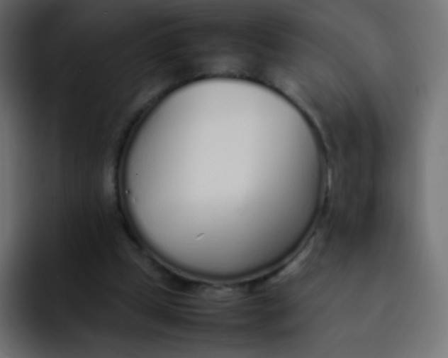 X0000092090249200710031159