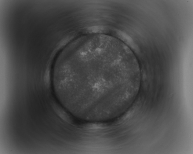 X0000092090250200710031159