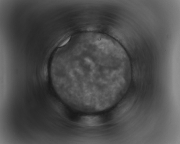 X0000092090251200710031159