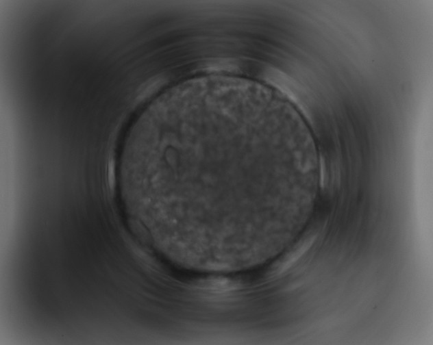 X0000092090253200710031159