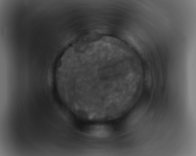 X0000092090255200710031159