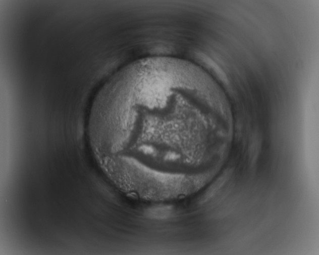 X0000092090257200710031159