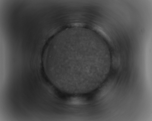 X0000092090259200710031159