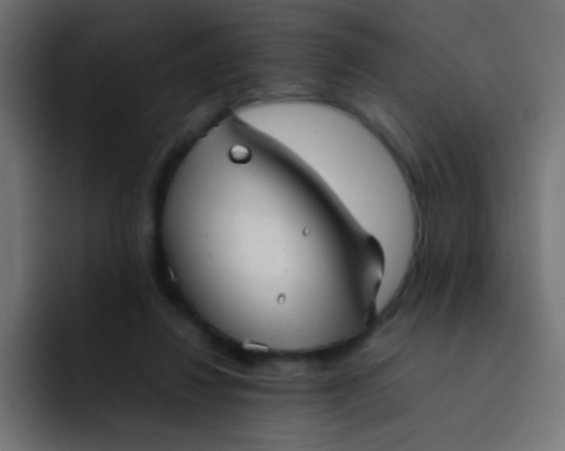 X0000092090260200710031159