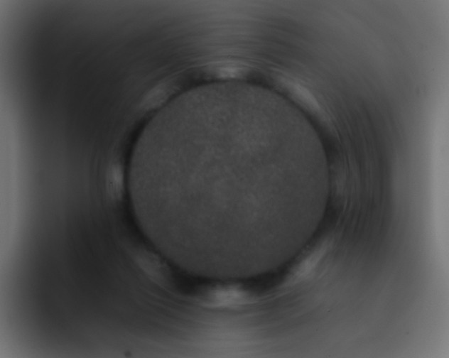 X0000092090262200710031159