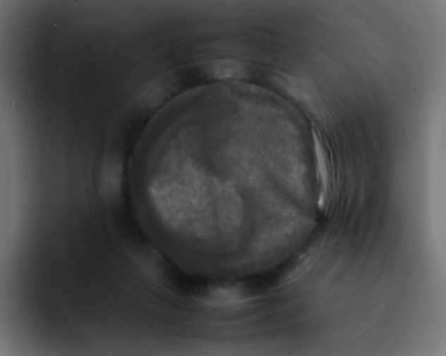 X0000092090263200710031159