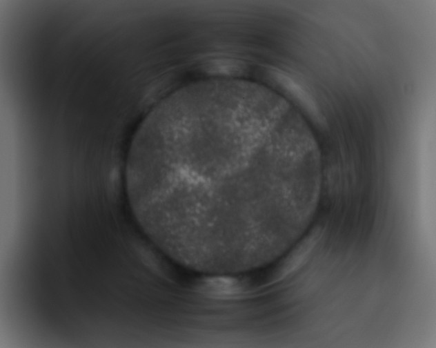 X0000092090265200710031159