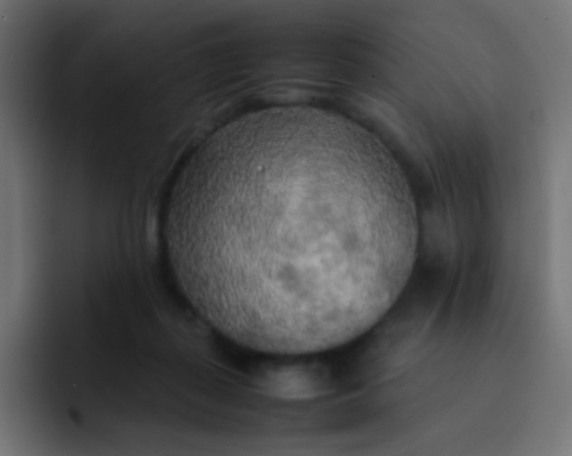 X0000092090267200710031159