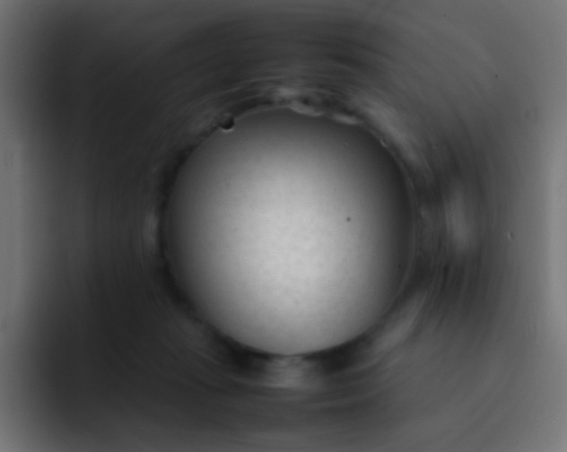 X0000092090269200710031159