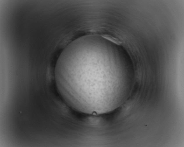 X0000092090272200710031159