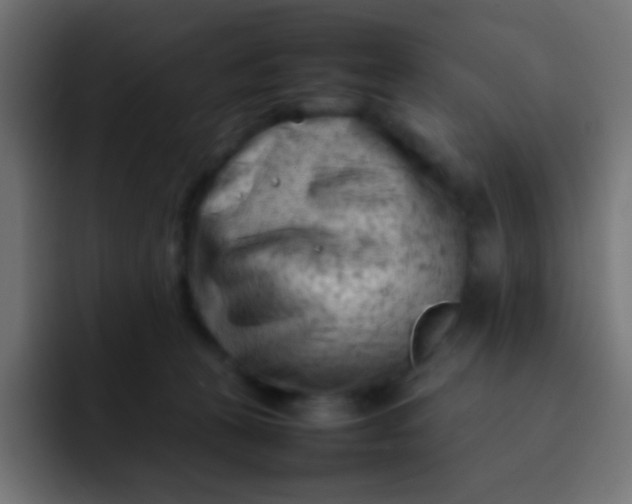 X0000092090273200710031159