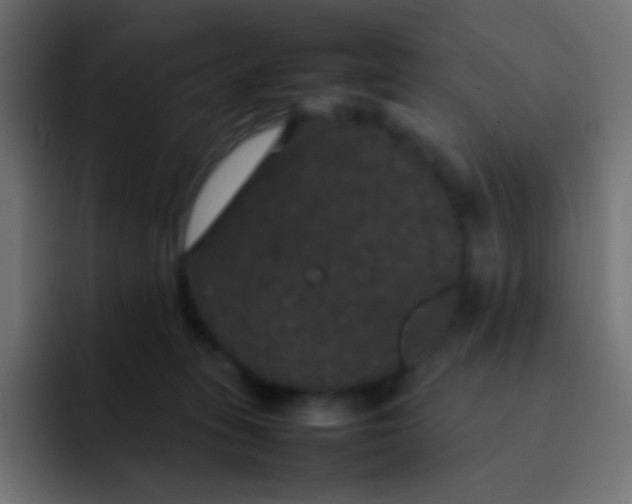 X0000092090275200710031159