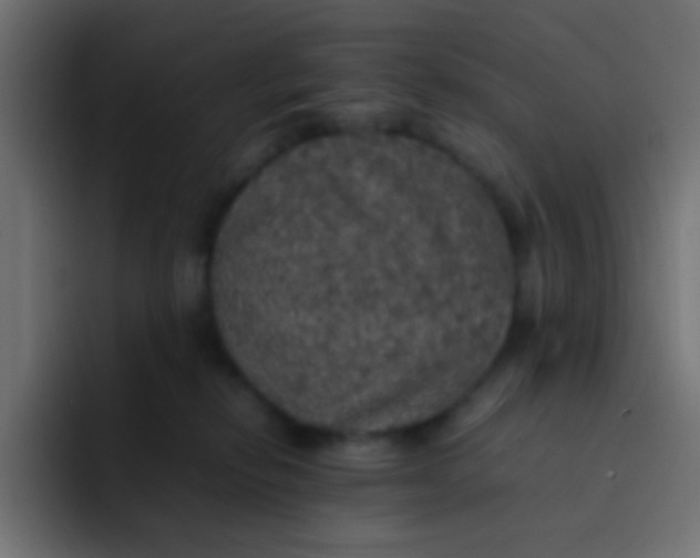 X0000092090278200710031159