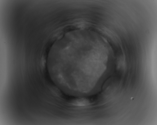 X0000092090279200710031159