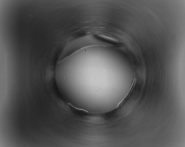 X0000092090284200710031200