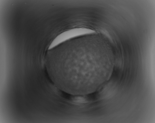 X0000092090285200710031200