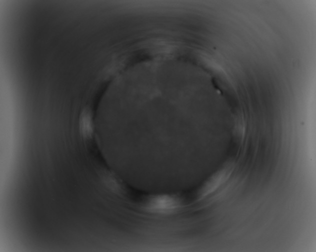 X0000092090287200710031200