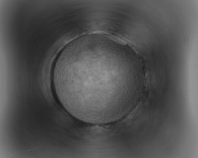 X0000092090290200710031159