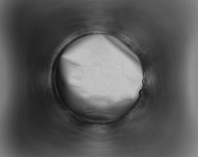 X0000092090292200710031159