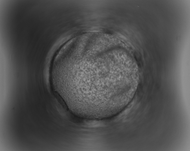 X0000092090293200710031159