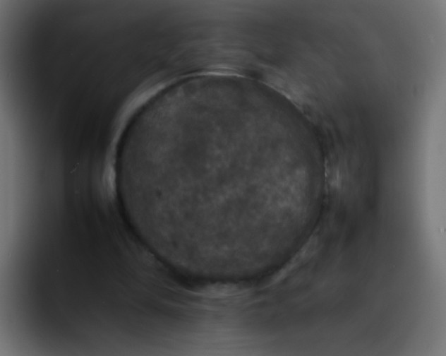 X0000092090294200710031159