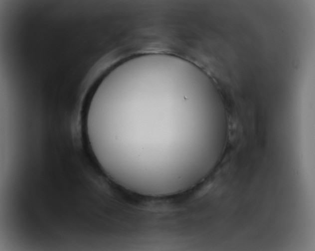 X0000092090296200710031159