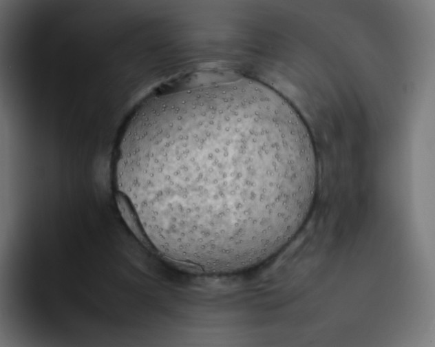 X0000092090297200710031159