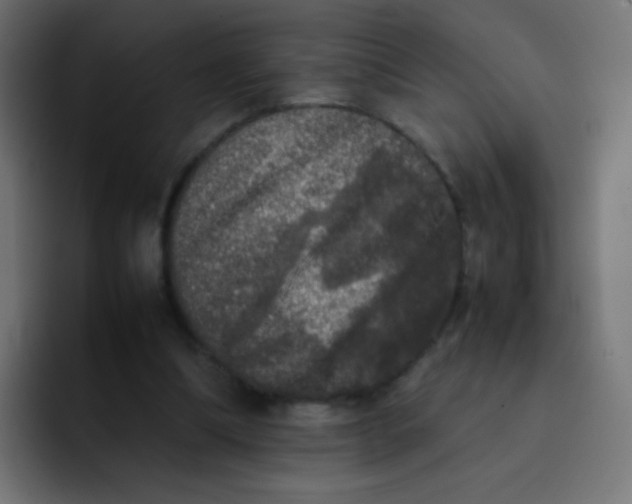 X0000092090298200710031159