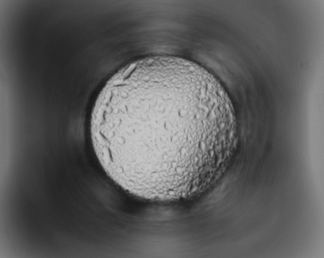 X0000092090299200710031159