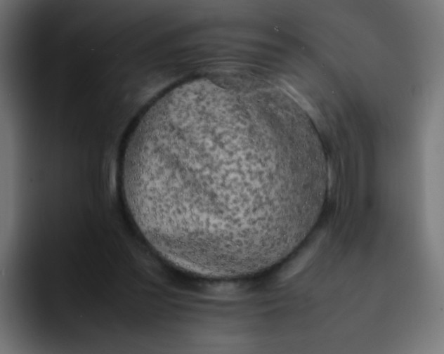 X0000092090301200710031159