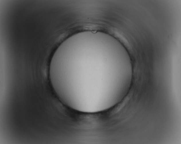 X0000092090305200710031159