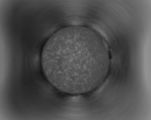 X0000092090306200710031159