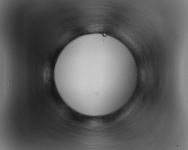 X0000092090308200710031159